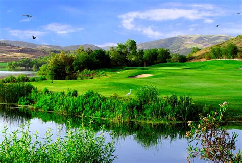 Strawberry farms golf california - 11 Strawberry Farms Rd, Irvine, California 92612. Strawberry Farms Golf Club is nestled in the canyons of Irvine at the end of a white picket fence lined road and is a unique and beautiful location for any event. Our staff is committed to providing exceptional service. Our policy is to book only one reception per day, making yours our priority.